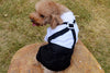 Pet Costume (Formal Clothing)