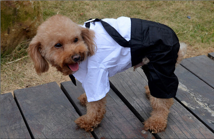 Pet Costume (Formal Clothing)