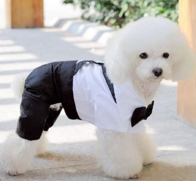 Pet Costume (Formal Clothing)