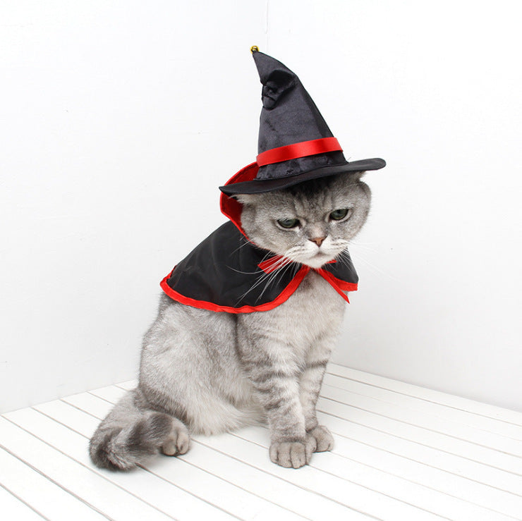 Pet Costume (Halloween)