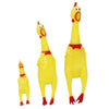 Pet Toy (Screaming Chicken)