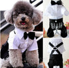 Pet Costume (Formal Clothing)