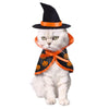 Pet Costume (Halloween)