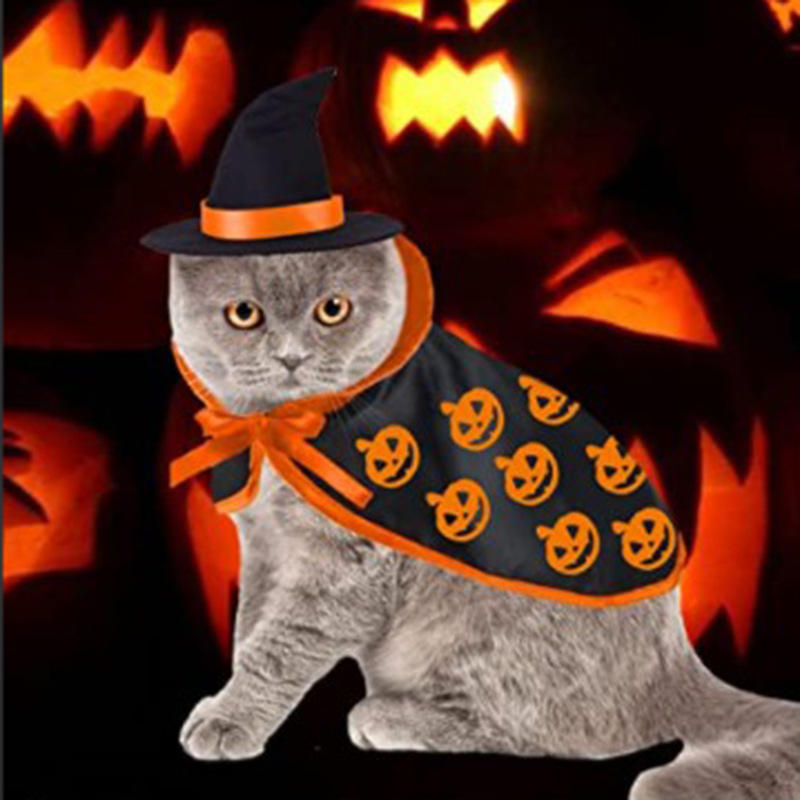 Pet Costume (Halloween)