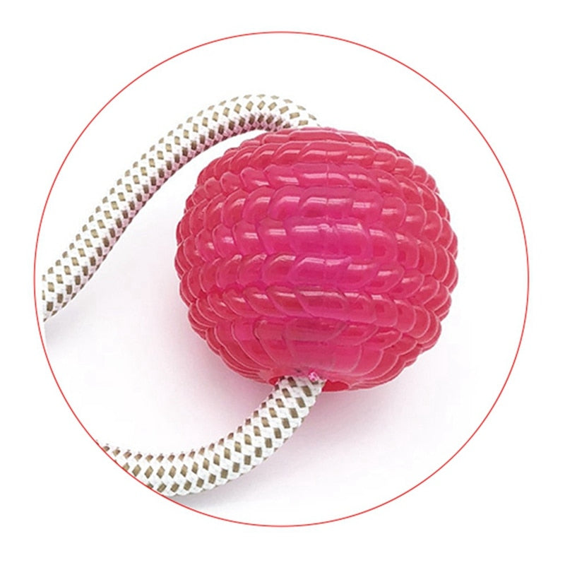 Pet Toy (Tooth Cleaning Ball)