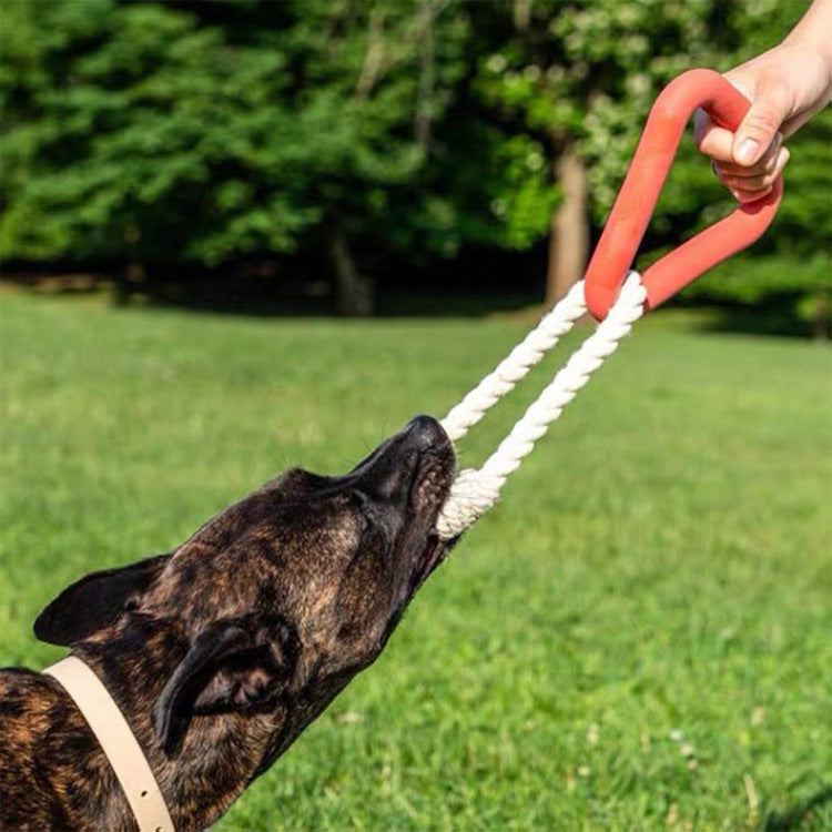 Pet Toy (Triangle Pulling Training)