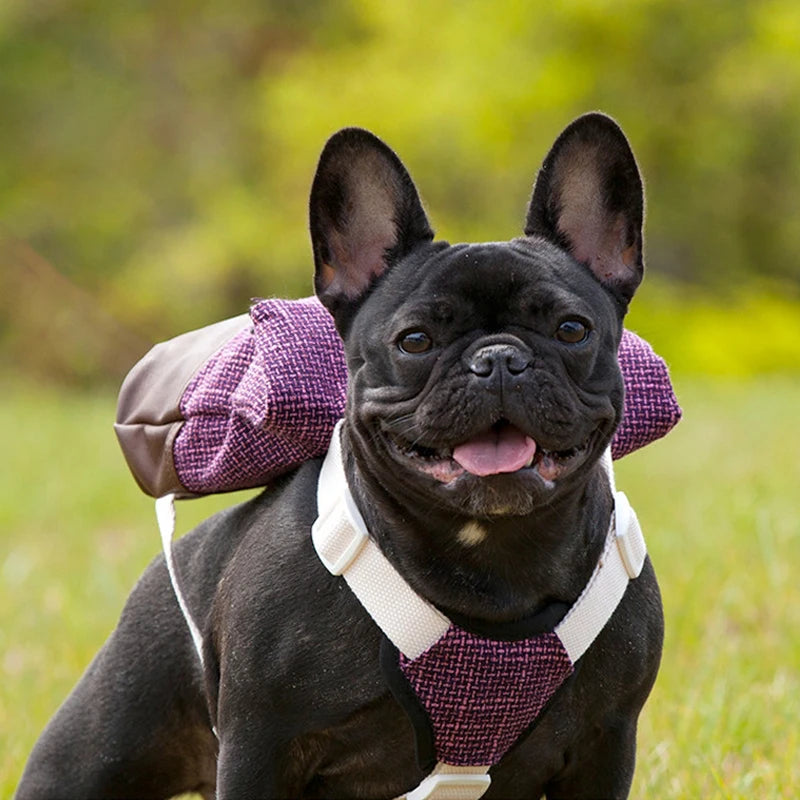 Pet Snack Bag