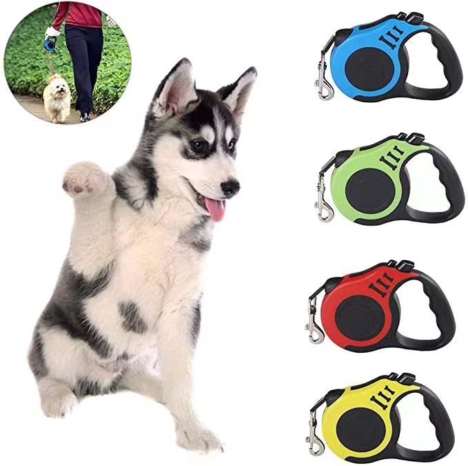 Dog Leash (Retractable)