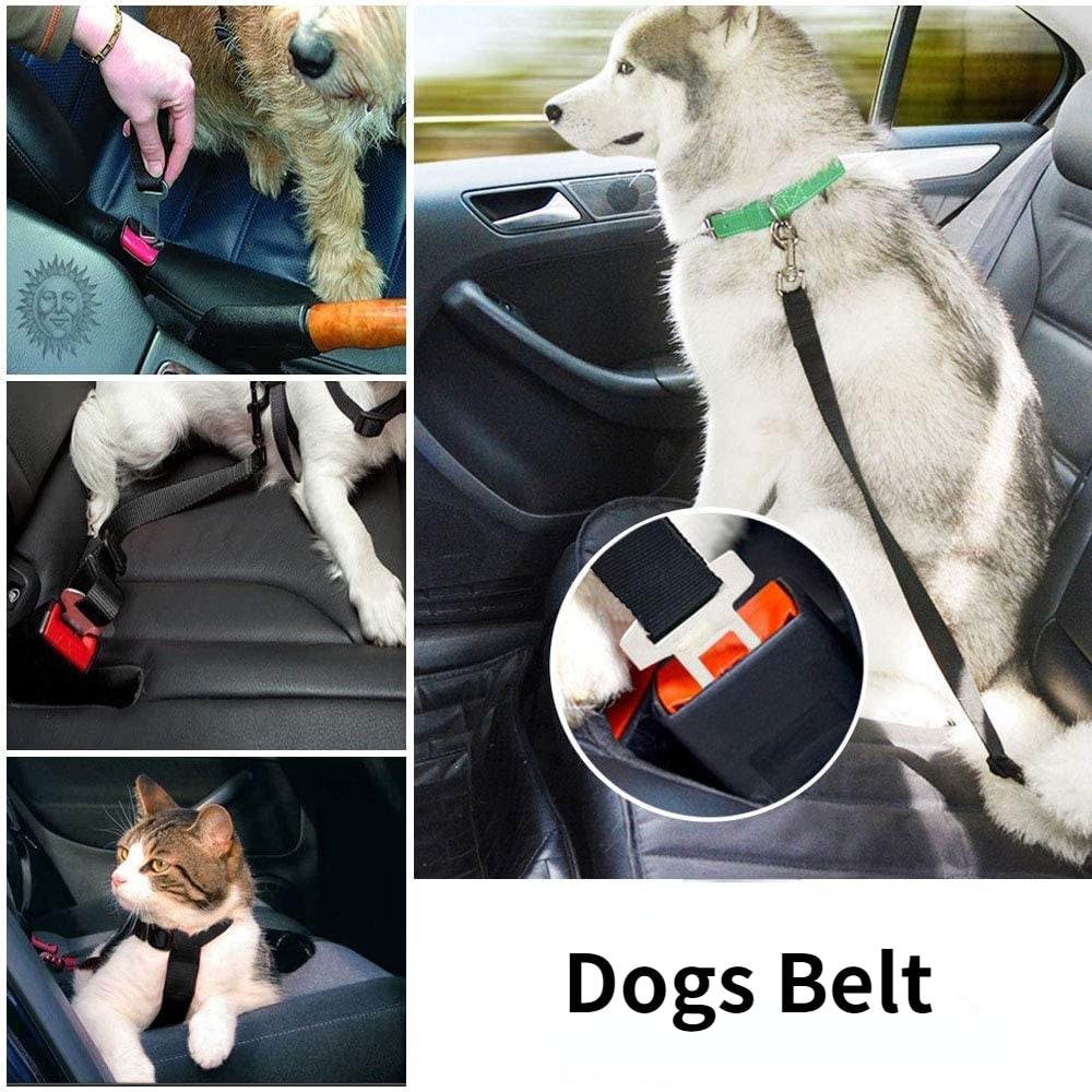 Dog Car Seat Belt