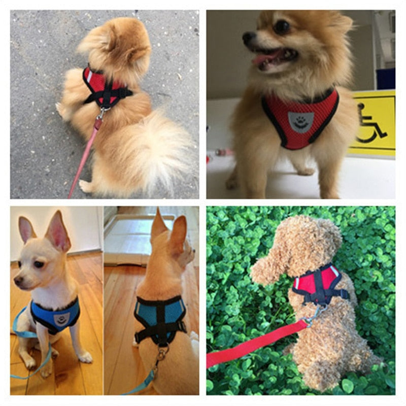 Dog Leash (Harness Collar)