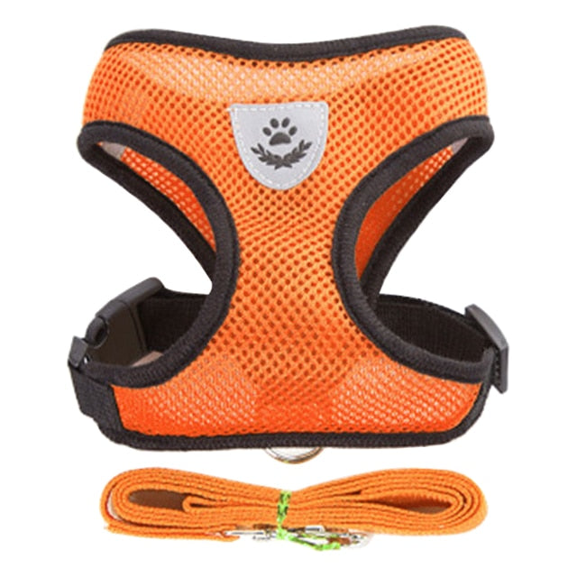 Dog Leash (Harness Collar)