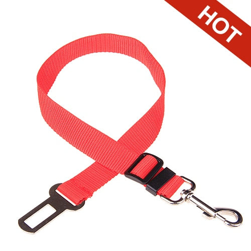 Dog Car Seat Belt