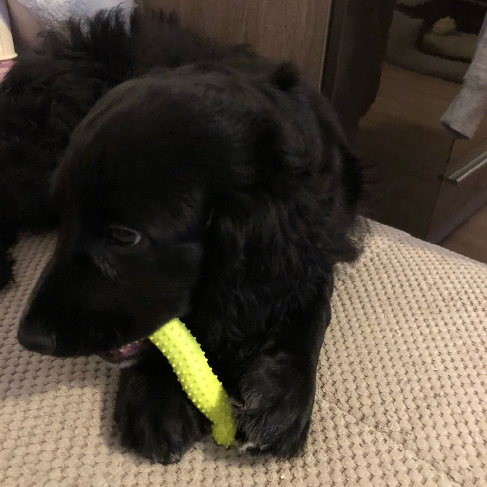 Dog Biting Toy